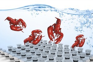 生蠔如何快速清洗？超聲波清洗機讓生蠔小龍蝦田螺大閘蟹更美味